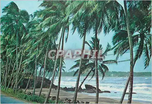 Moderne Karte Sri Lanka Beach Scene