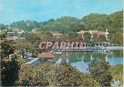 Cartes postales moderne Sri Lanka Hill top view of Kandy