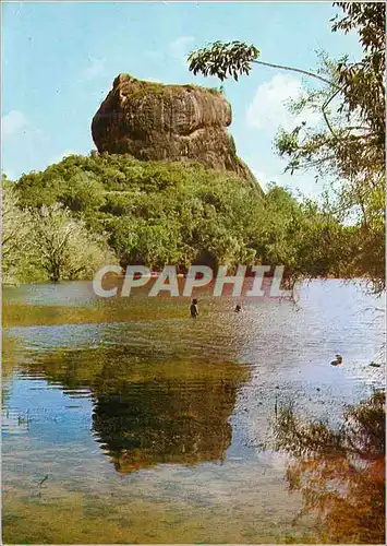 Cartes postales moderne Sri Lanka Greetings from Sri Lanka