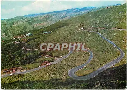 Cartes postales moderne Sri Lanka Tea Covered Hill Slopes Nuwara Elita