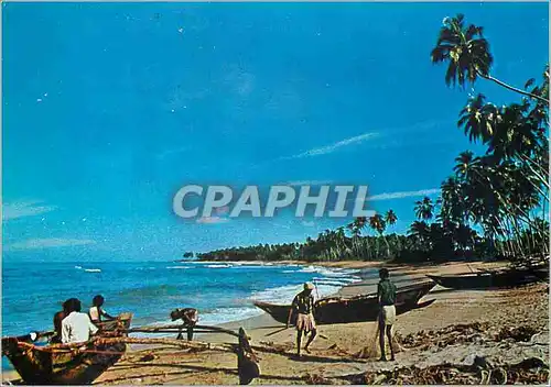 Cartes postales moderne Sri Lanka Beach Scene