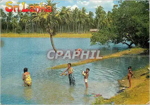 Cartes postales moderne Sri Lanka A Bath in the Lake