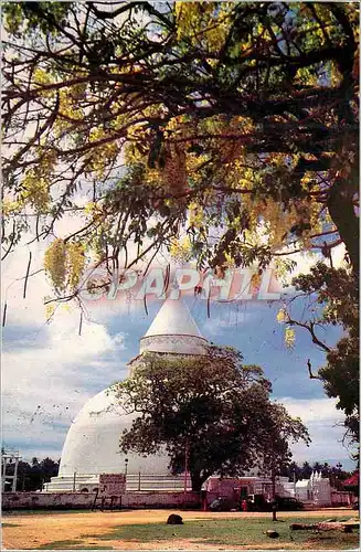 Cartes postales moderne Sri Lanka Kandy