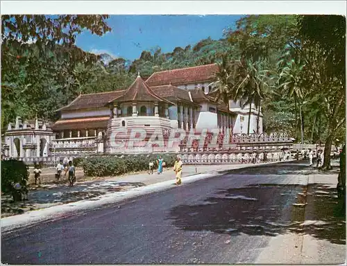 Moderne Karte Sri Lanka Kandy Le temple de la dent sacree