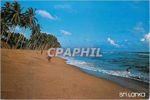 Cartes postales moderne Sri Lanka La Plage orientale