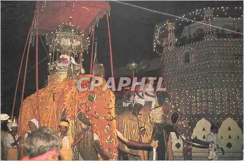 Cartes postales moderne Sri Lanka Elephant