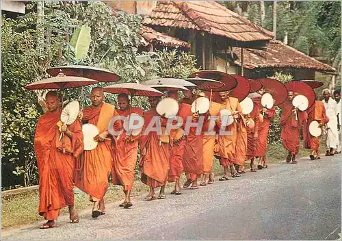 Cartes postales moderne Sri Lanka Buddhist Honks