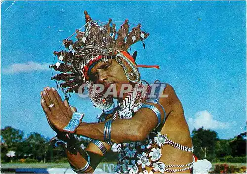 Cartes postales moderne Sri Lanka Ayubowan from Sri Lanka