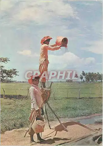 Cartes postales moderne Sri Lanka Winnowing Paddy