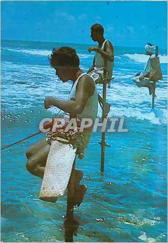 Cartes postales moderne Weligama Pecheurs sur les echasses