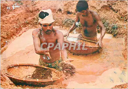 Cartes postales moderne Sri Lanka Washing Gem Gravel Ratnapura