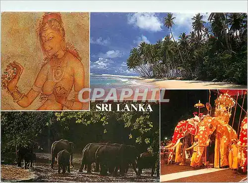 Cartes postales moderne Sri Lanka