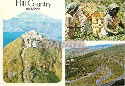 Cartes postales moderne Sri Lanka Hill Country