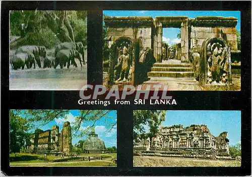 Moderne Karte Sri Lanka Spot Scenes of Polonnaruwa Elephants