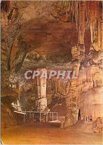 Cartes postales moderne Postojnska Jama Grotte Le Brillant