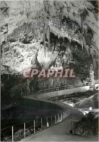 Cartes postales moderne Postojnska Jama  Slovenie Jugoslavija