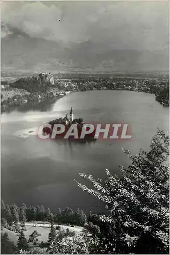 Cartes postales moderne Bled