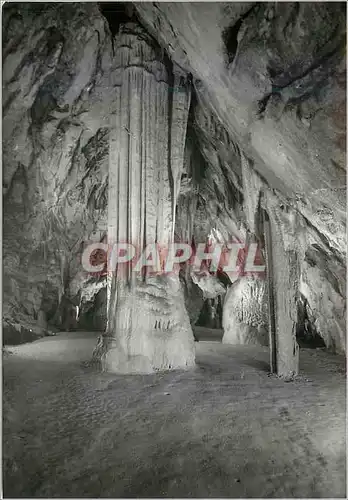 Moderne Karte Postojnska Jama Slovenie Jugoslavija