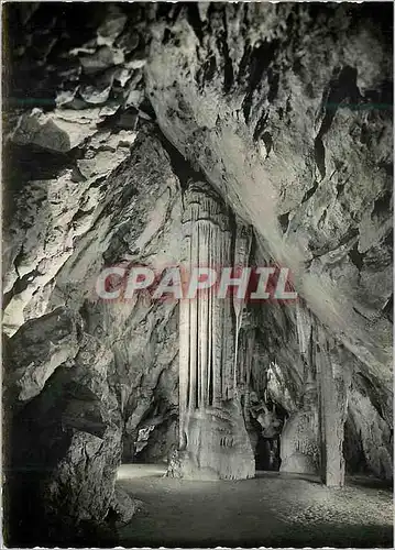 Cartes postales moderne Postojnska Jama Slovenia Jugoslavija