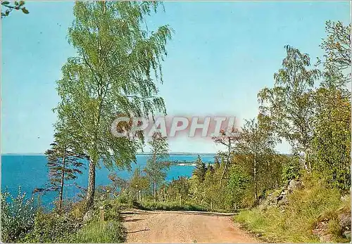 Cartes postales moderne Svensk Natur This beautiful Sweden