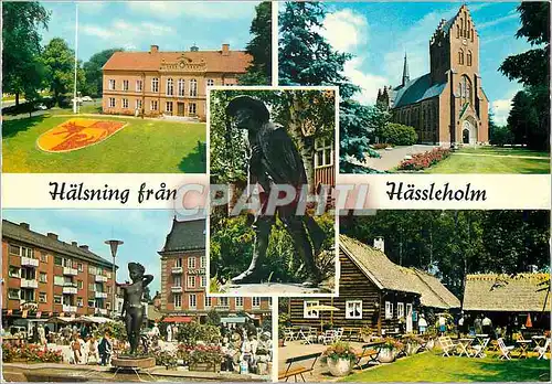 Cartes postales moderne Halsning fran Hassleholm