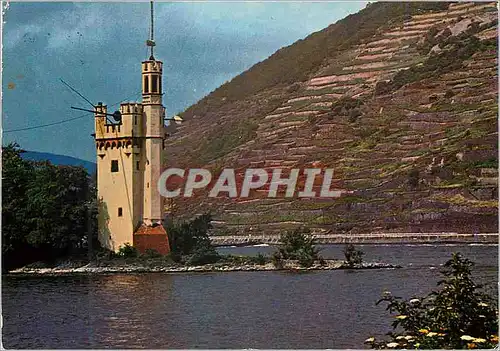 Cartes postales moderne Le rhin mausturm (tour aux souris)