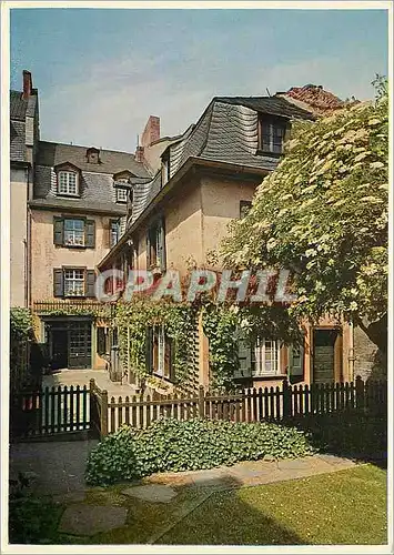 Cartes postales moderne Beethovens geburthshaus in bonn bonngasse 20