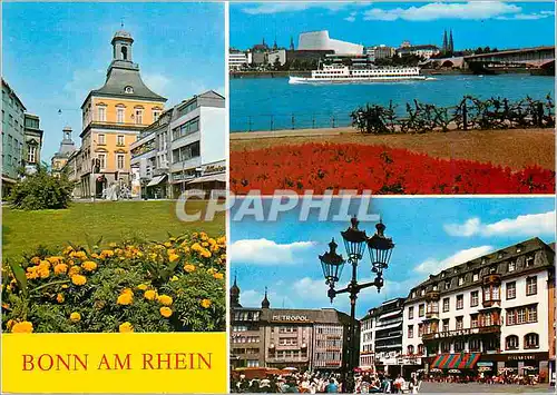 Cartes postales moderne Bonn am RHEIN