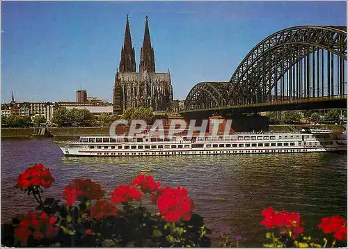 Cartes postales moderne Rheinpanorama