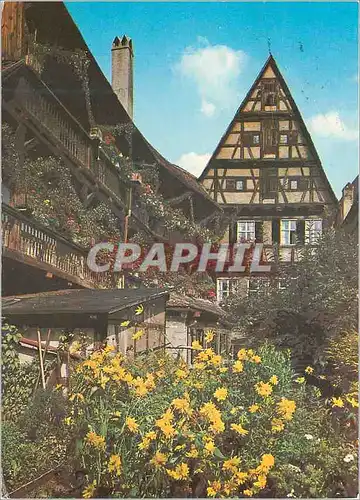Cartes postales moderne Dinkelsbuhl