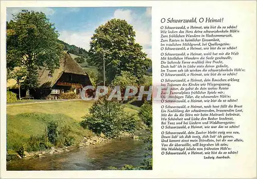 Moderne Karte o Schwarzwald o Heimat