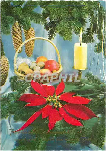 Cartes postales moderne Frankfurt Fleurs