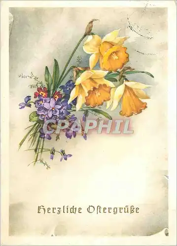 Cartes postales moderne Hofheim Fleurs