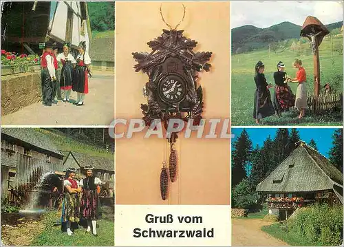 Cartes postales moderne Grub vom Schwarzwald Folklore