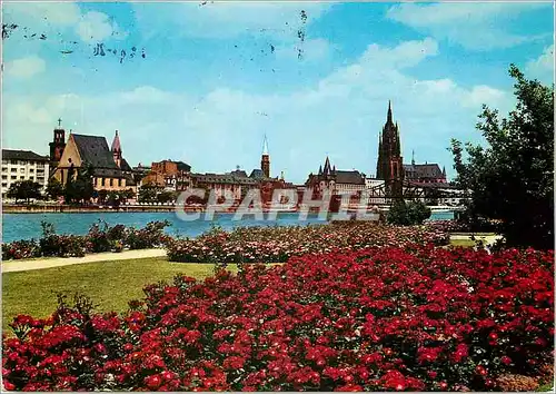 Cartes postales moderne Frankfurt Am Main Partie am main mit Dom