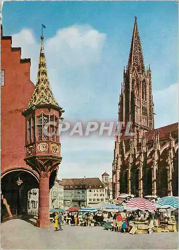 Cartes postales moderne Freiburg (Breisgau)
