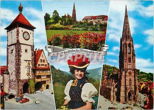 Cartes postales moderne Freiburg im Breisgau