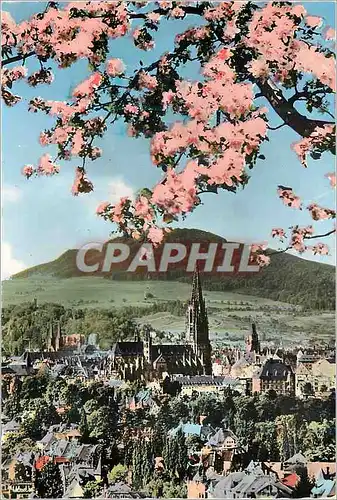 Cartes postales moderne Freiburg Vue Generale