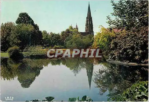 Cartes postales moderne Freiburg-Im-Breisgau Le Parc et la Cathedrale