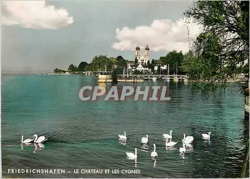 Cartes postales moderne Friedrichshafen Le Chateau et les Cygnes