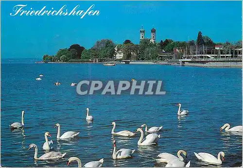 Cartes postales moderne Friedrichshafen