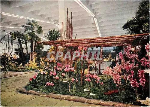 Cartes postales moderne Hamburg Gartenbau-Ausstellung