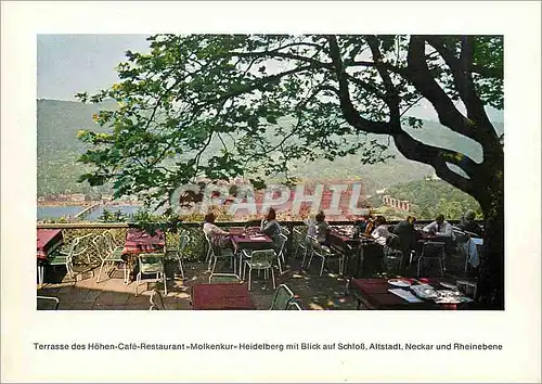 Cartes postales moderne Heidelberg Hohen-Cafe-Restaurant