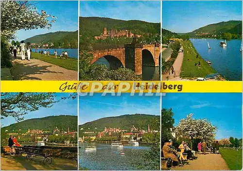 Cartes postales moderne Heidelberg am Neckarstrand