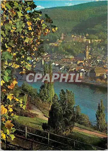 Cartes postales moderne Heidelberg From the Philosopher(s garden