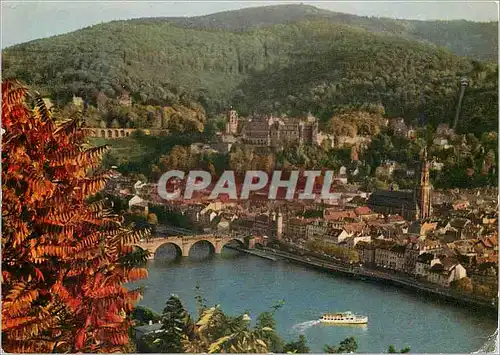 Cartes postales moderne Heidelberg am Neckar