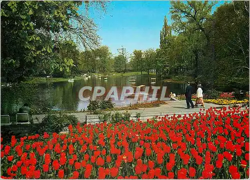 Cartes postales moderne Karlsruhe Im Stadtgarten