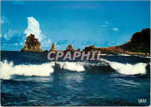 Cartes postales moderne Guadeloupe La Pointe des Chateaux