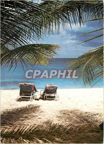 Cartes postales moderne Guadeloupe Plage de St Martin