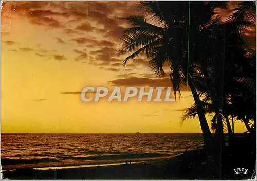 Cartes postales moderne Guadeloupe Coucher de soleil